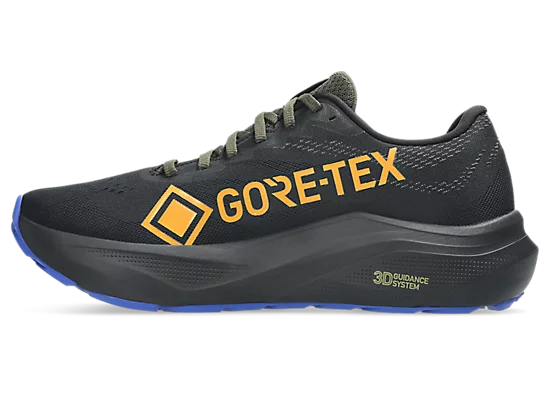 Asics mens gt-2000 14 goretex 1011c058-001