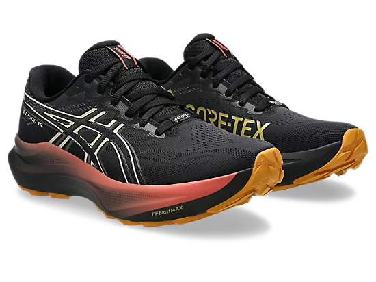 Asics womens gt 2000 14 goretex 1012b844-001