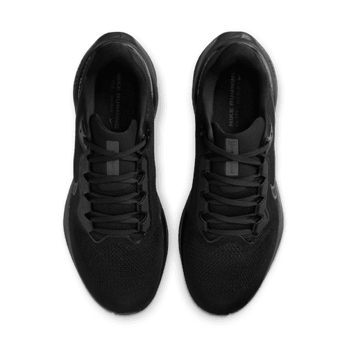 Nike air zoom pegasus 41 fd2722-001 all black