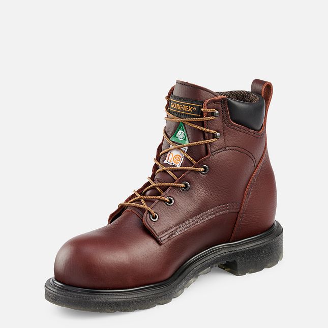 Red Wing SuperSole® 2.0 Men's 6-inch Waterproof CSA Safety Toe Boot  3504e brown