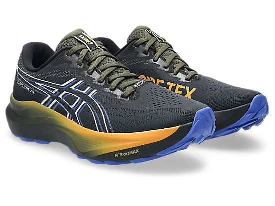 Asics mens gt-2000 14 goretex 1011c058-001