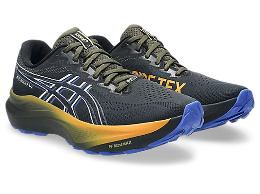 Asics mens gt-2000 14 goretex 1011c058-001