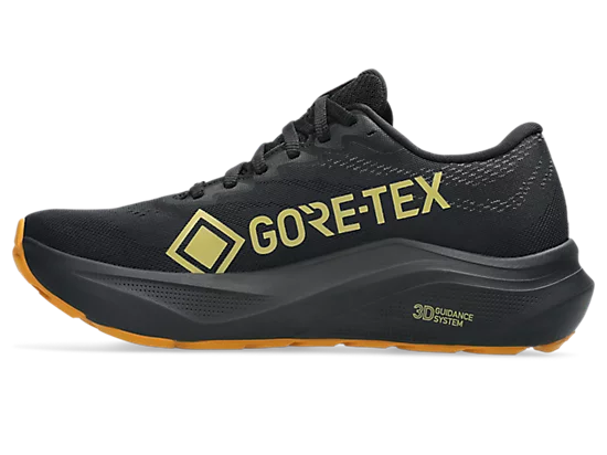 Asics womens gt 2000 14 goretex 1012b844-001