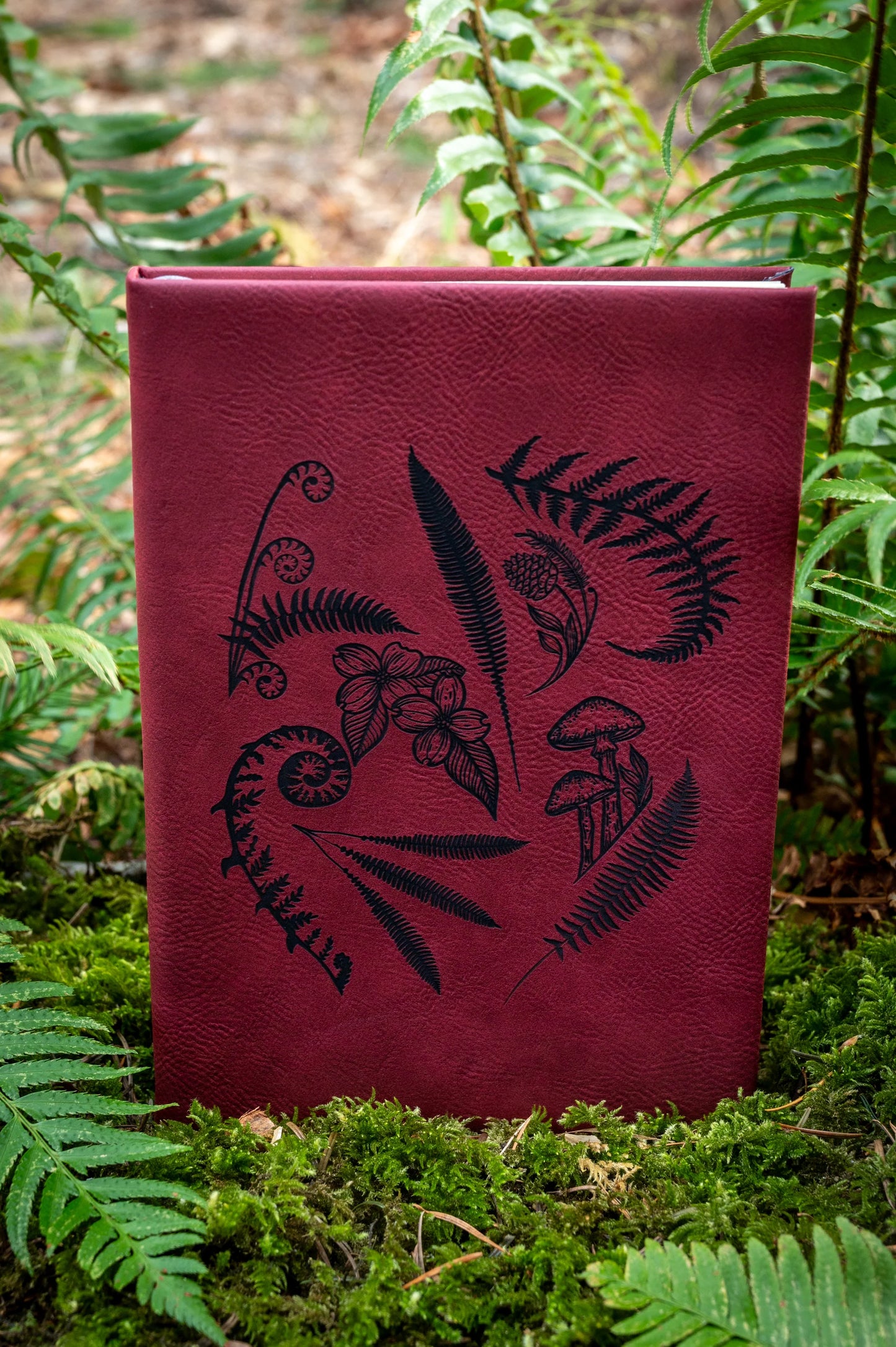 West Coast Karma forest walk journal